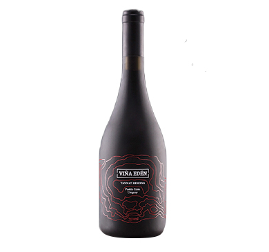 [469] VINO VIÑA EDEN TANNAT RESERVA 750 ML